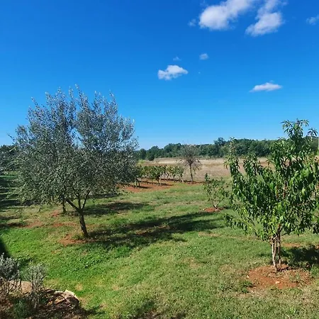Paliska Located In The Countryside Near Porec Guest house Jasenovica (Istria)