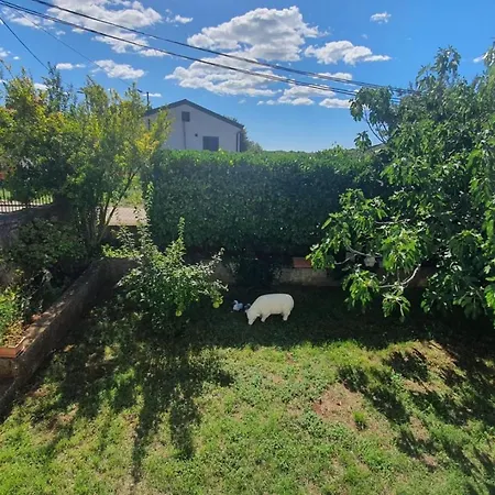Guest house Paliska Located In The Countryside Near Porec Jasenovica