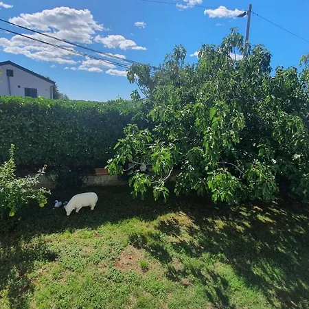 Guest house Paliska Located In The Countryside Near Porec Jasenovica (Istria)